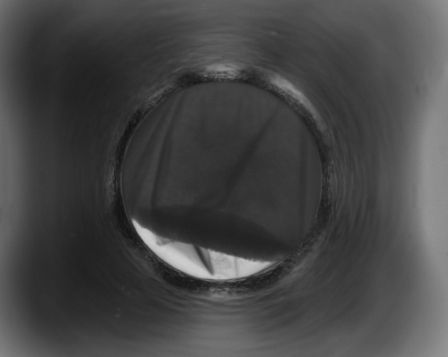X0000087530641200705251700