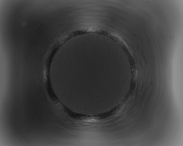 X0000087530643200705251700