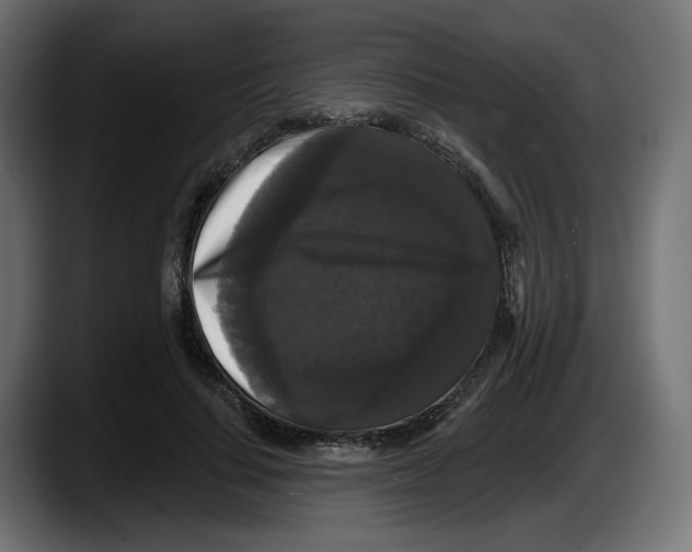 X0000087530644200705251700