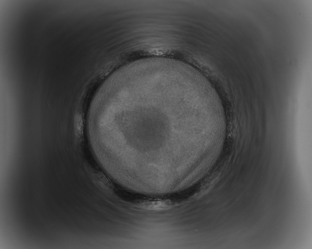 X0000087530646200705251700