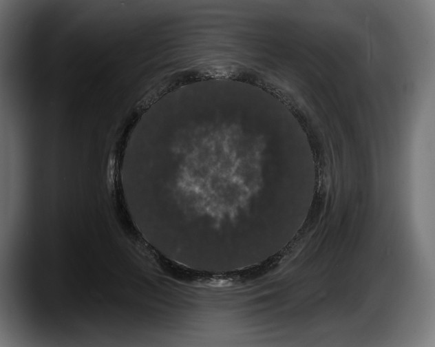 X0000087530647200705251700
