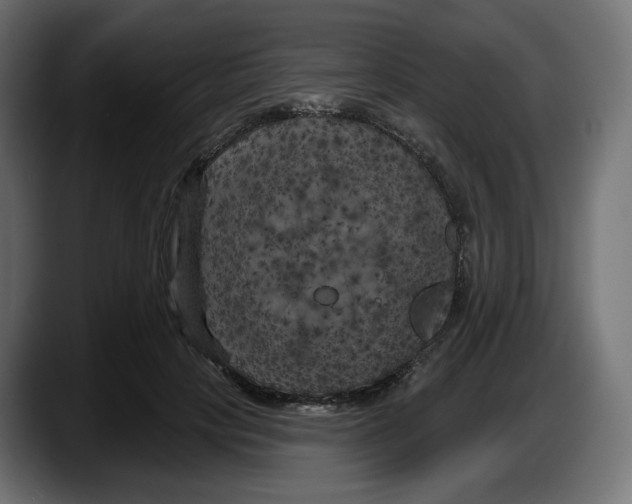 X0000087530649200705251700