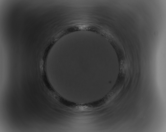 X0000087530650200705251700