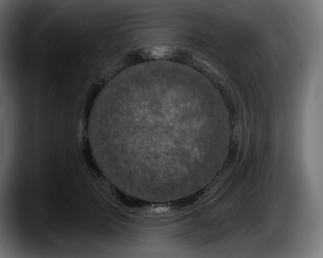 X0000087530651200705251700