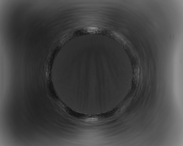 X0000087530653200705251700
