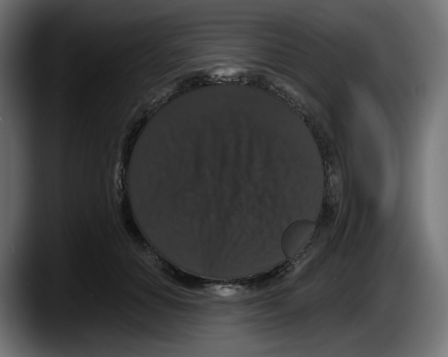 X0000087530654200705251700