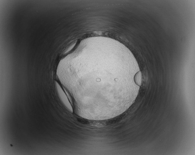 X0000087530656200705251701