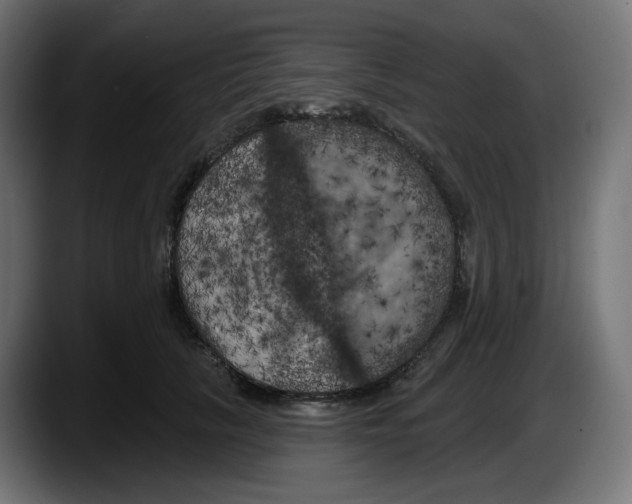 X0000087530657200705251701