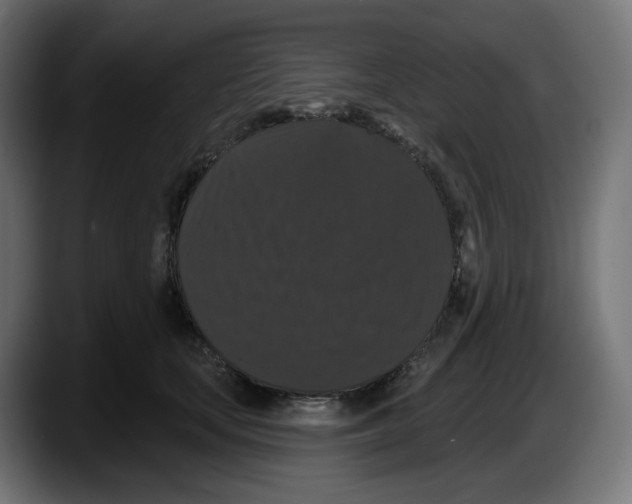 X0000087530659200705251701