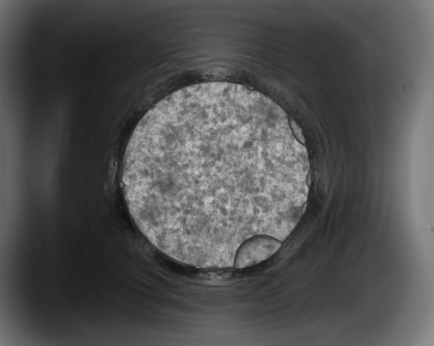 X0000087530660200705251701