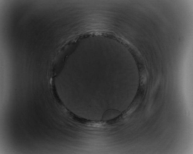 X0000087530661200705251701