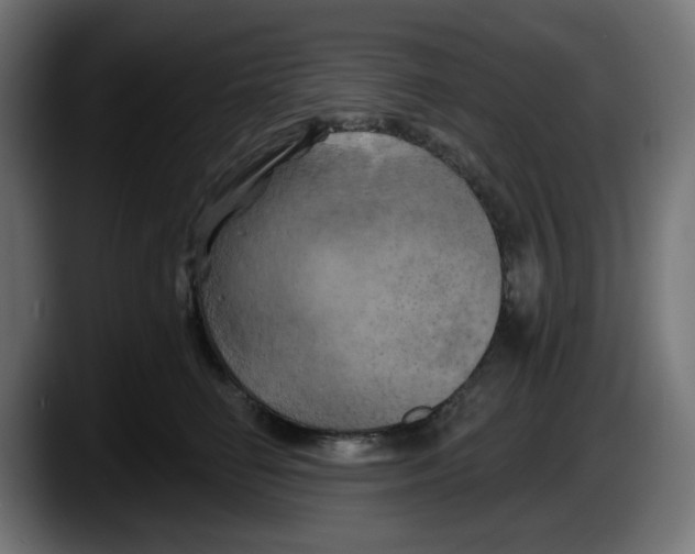 X0000087530662200705251701