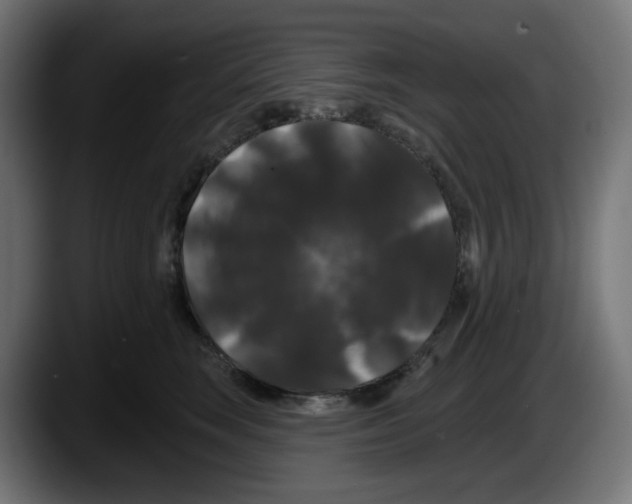 X0000087530663200705251701