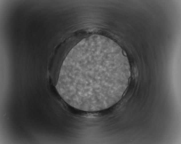 X0000087530664200705251701
