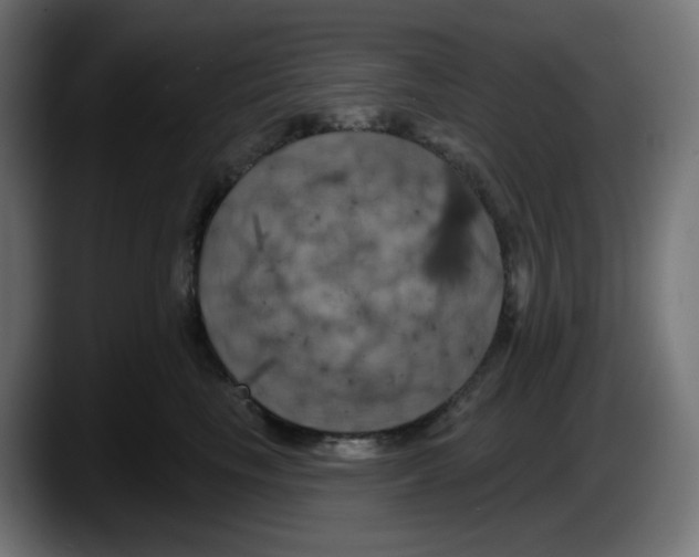 X0000087530665200705251701
