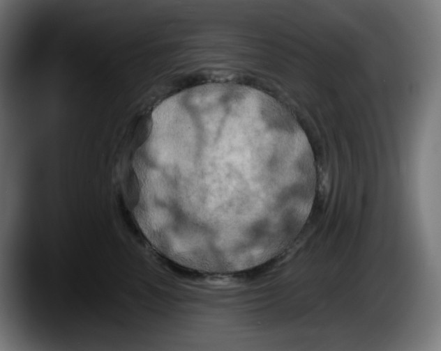 X0000087530666200705251701