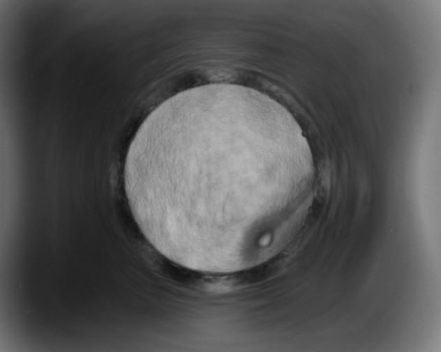 X0000087530667200705251701