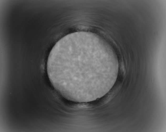 X0000087530668200705251701