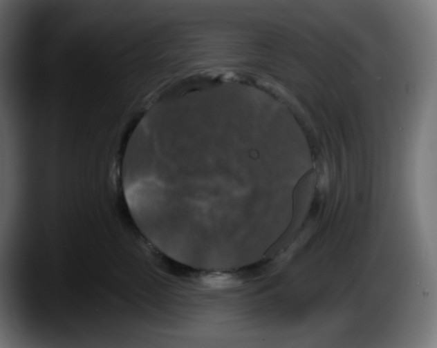 X0000087530669200705251701