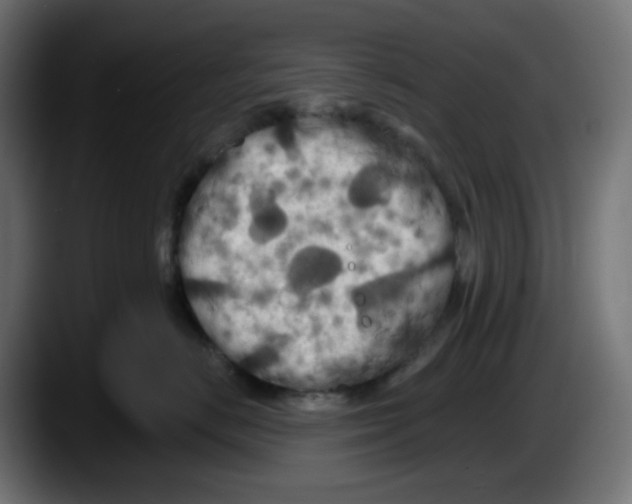 X0000087530670200705251701