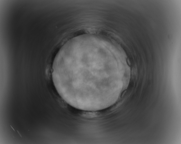 X0000087530671200705251701