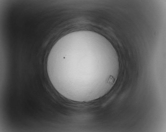 X0000087530672200705251701