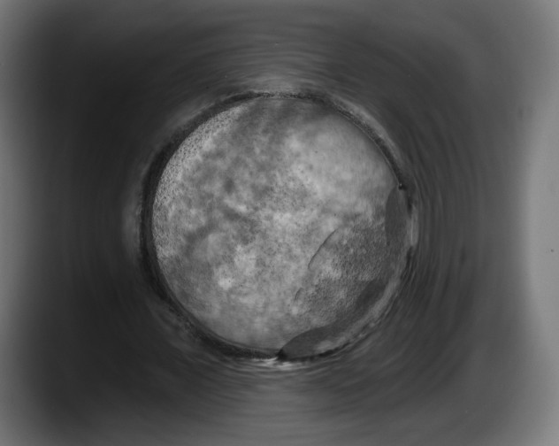 X0000087530675200705251700