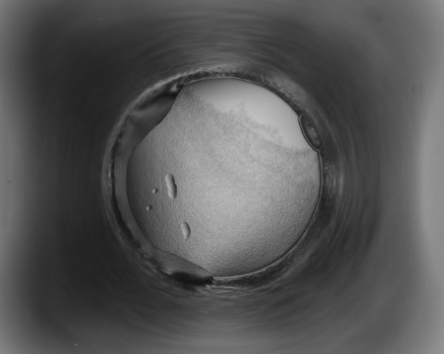 X0000087530676200705251700