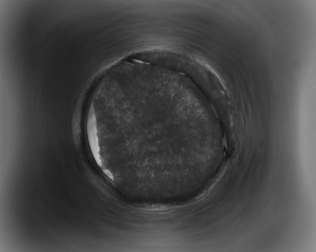 X0000087530677200705251700