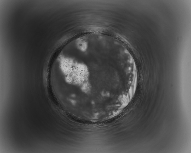 X0000087530679200705251700