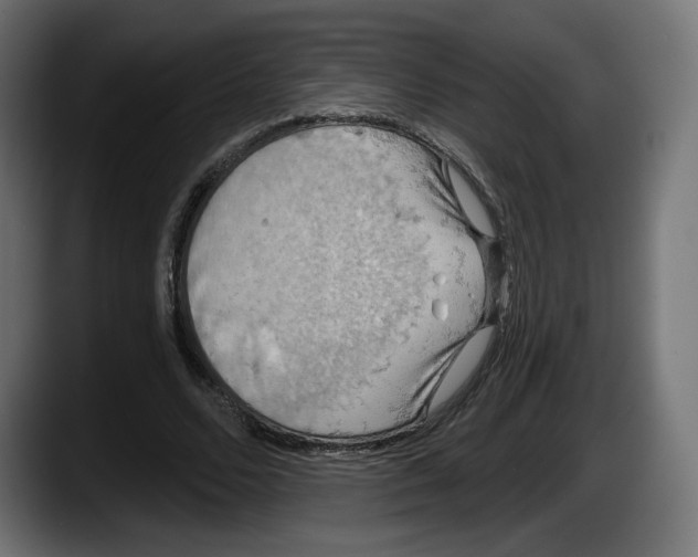 X0000087530680200705251700
