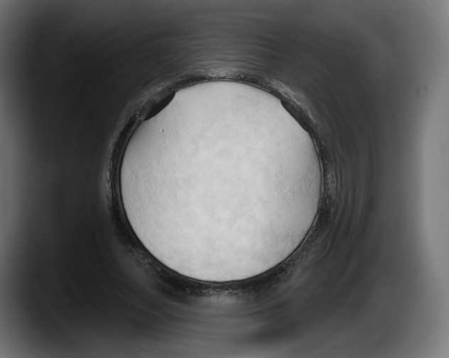 X0000087530682200705251700