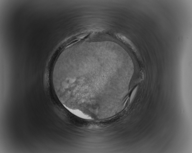 X0000087530684200705251700