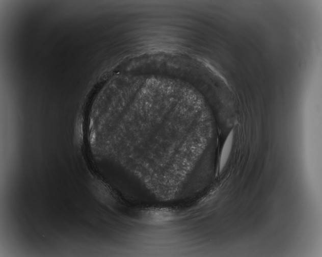 X0000087530685200705251700