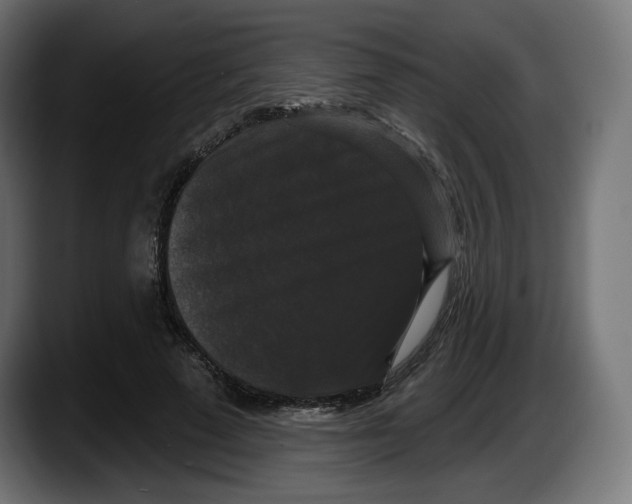 X0000087530689200705251700