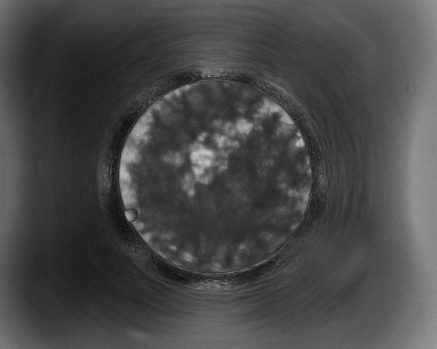 X0000087530691200705251700