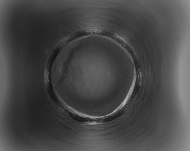 X0000087530692200705251700