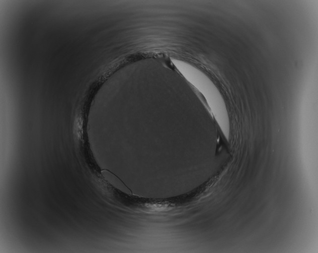 X0000087530693200705251700