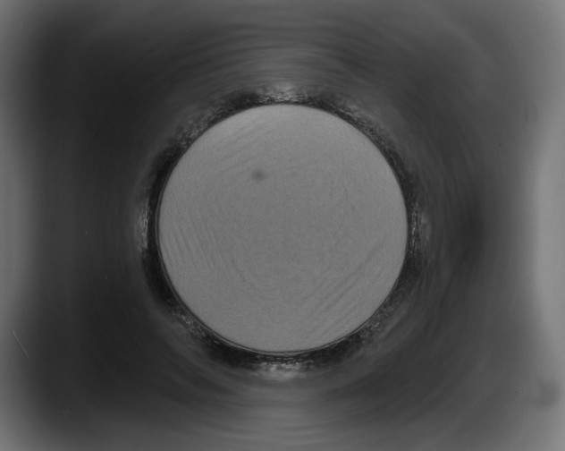 X0000087530694200705251700