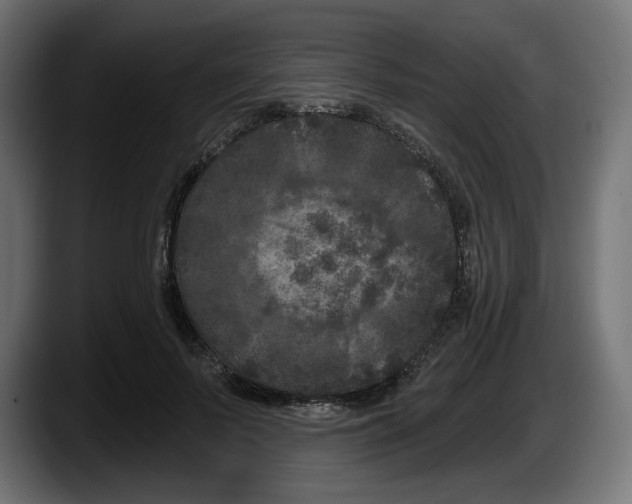 X0000087530695200705251700