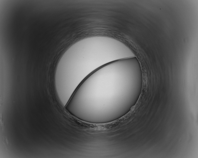 X0000087530696200705251700