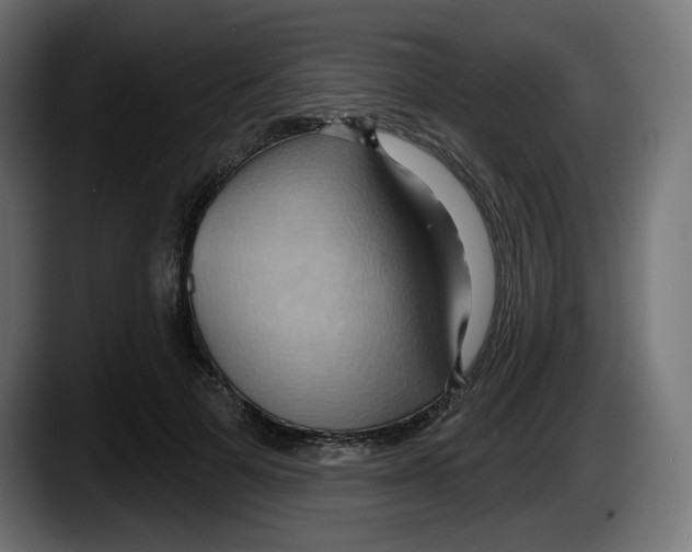 X0000087530697200705251700