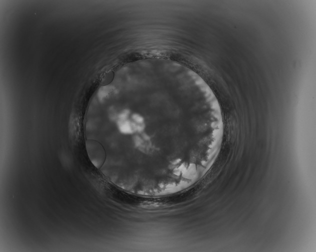 X0000087530699200705251700