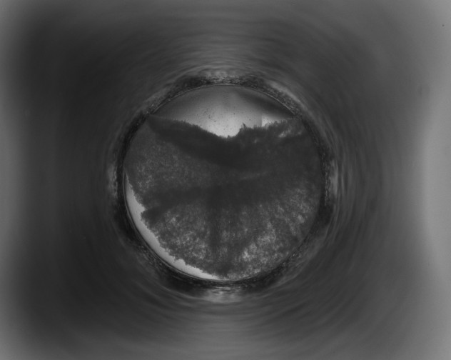 X0000087530700200705251700