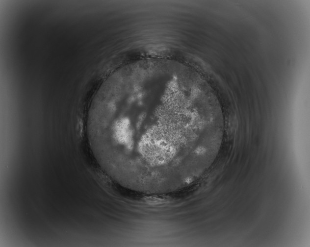 X0000087530703200705251700