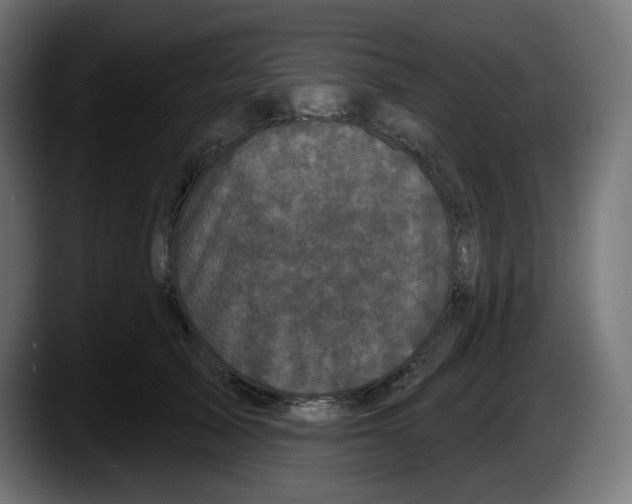 X0000087530705200705251700