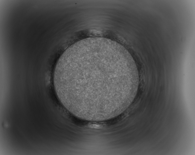 X0000087530706200705251659