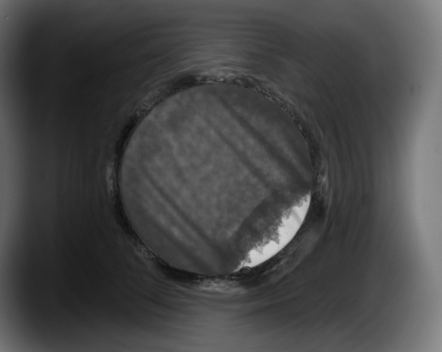 X0000087530708200705251659