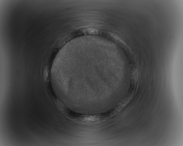 X0000087530709200705251659