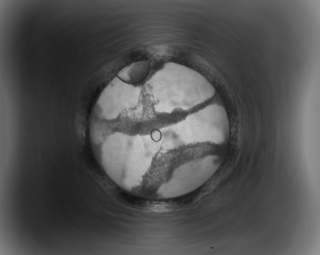 X0000087530710200705251659
